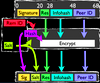 Efficient BitTorrent handshake obfuscation